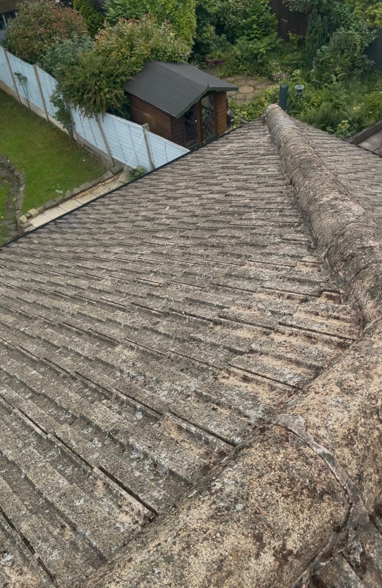 Roof Clean & De-Mossing